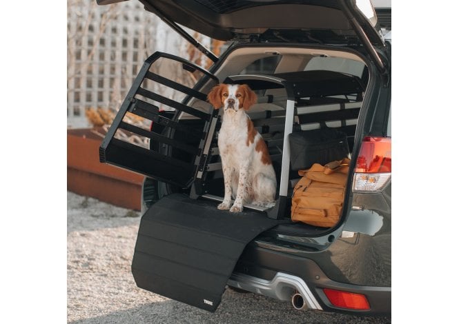 Thule Allax