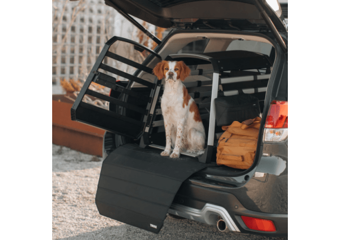 Thule bumper protect standard Allax - 770100